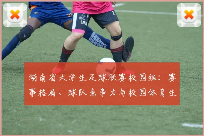 湖南省大学生足球联赛校园组：赛事格局、球队竞争力与校园体育生态深度解析