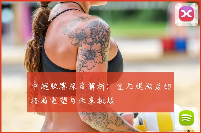中超联赛深度解析:金元退潮后的格局重塑与未来挑战