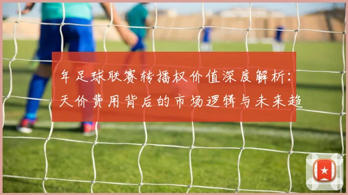 年足球联赛转播权价值深度解析:天价费用背后的市场逻辑与未来趋势